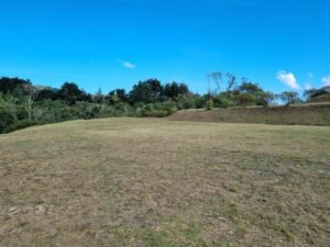 Lotes en Alto de Palmas para construir tu hogar