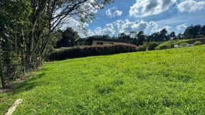 Lotes en Alto de Palmas para inversión en Medellín